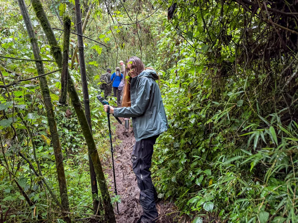 Ella McKendrick on muddy forest trail with trekking poles in green undergrowth at the bamboo zone in Volcanoes National Park, Rwanda