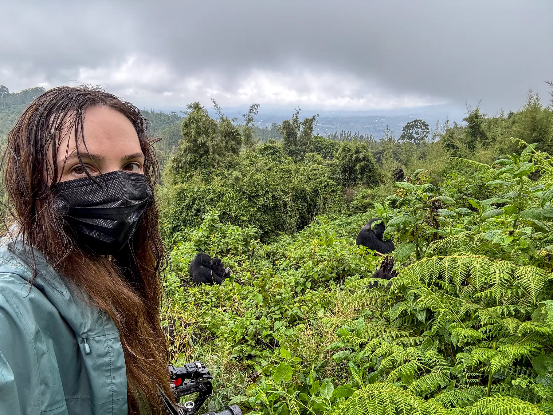 Ella McKendrick in a face mask with two Mountain gorillas feeding in bushes behind on safari in Volcanoes National Park, Rwanda