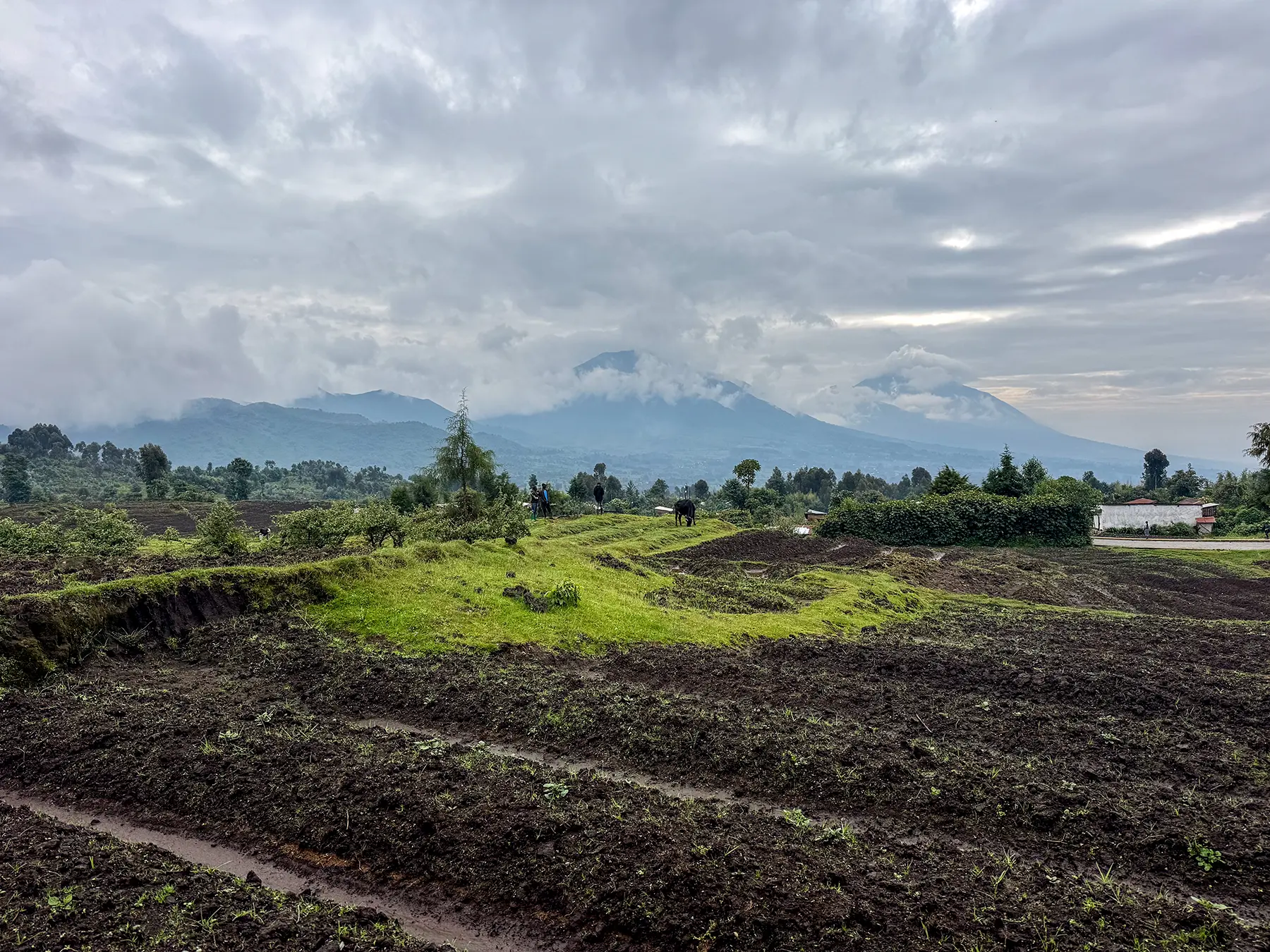 Tilled fields stretch out beneath the cloud-wreathed Virunga peaks at Volcanoes National Park, Rwanda
