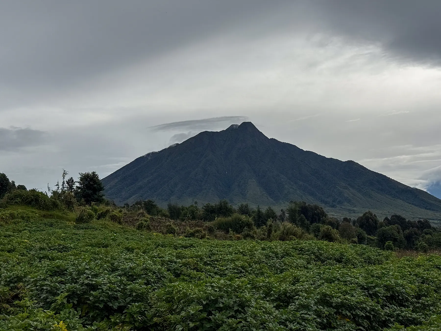 Steep dark volcanic peak rising above farmland under heavy cloud at Volcanoes National Park, Rwanda
