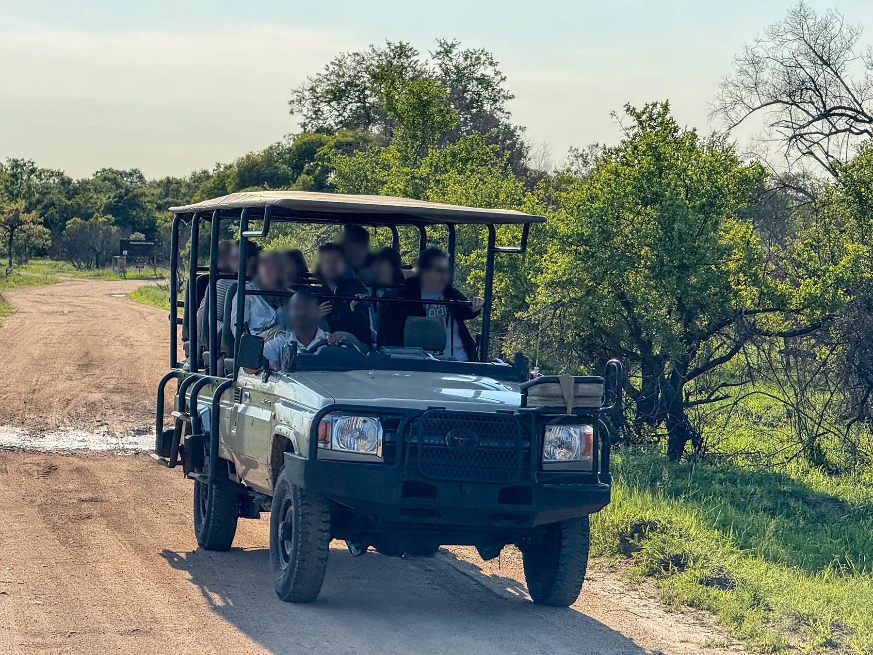 Safari truck full of guests driving along a bush track on safari in Manyeleti Game Reserve, South Africa