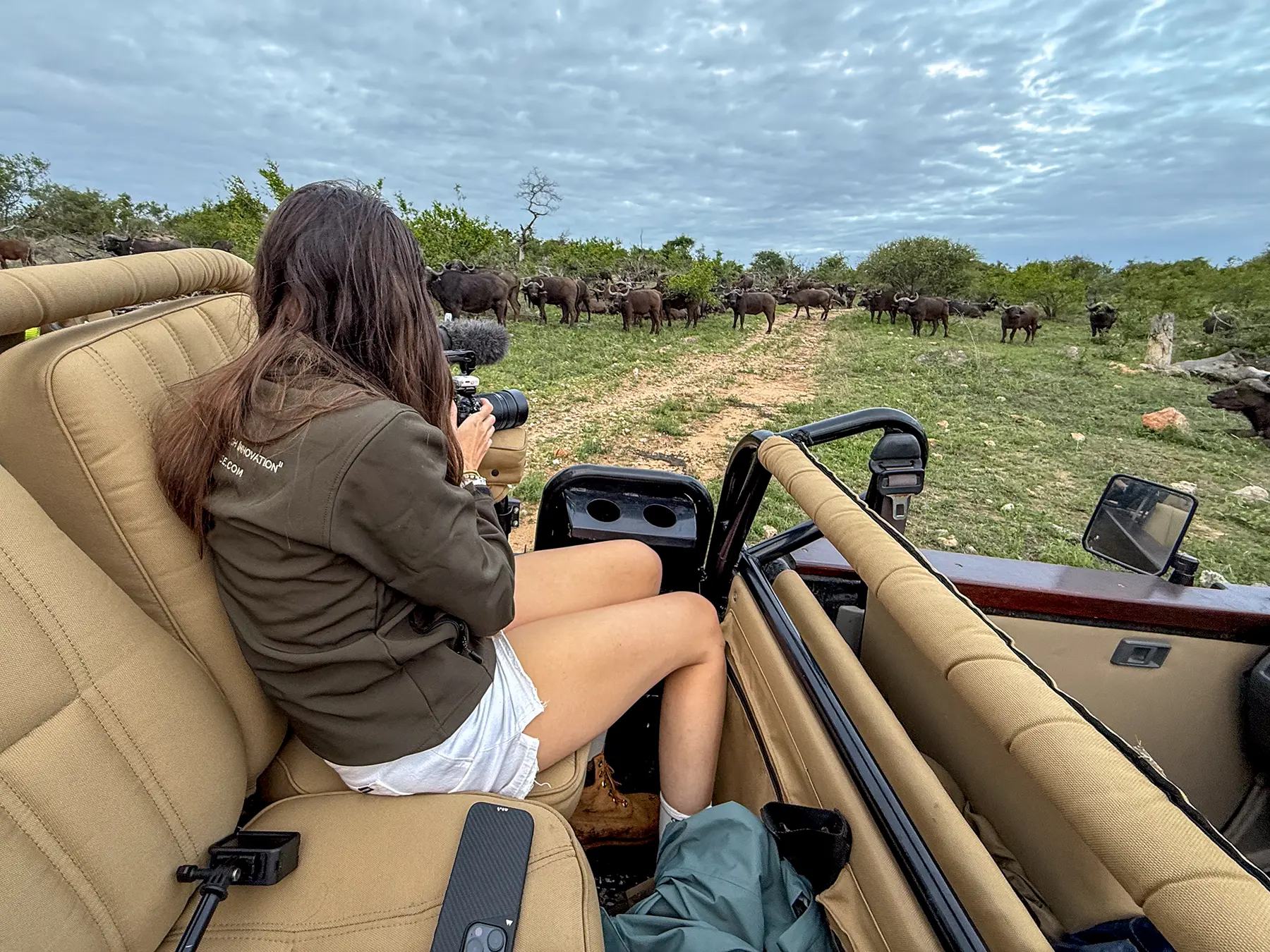 Ella McKendrick photographing a Cape buffalo herd from a safari vehicle on safari in Olifants River Game Reserve, South Africa