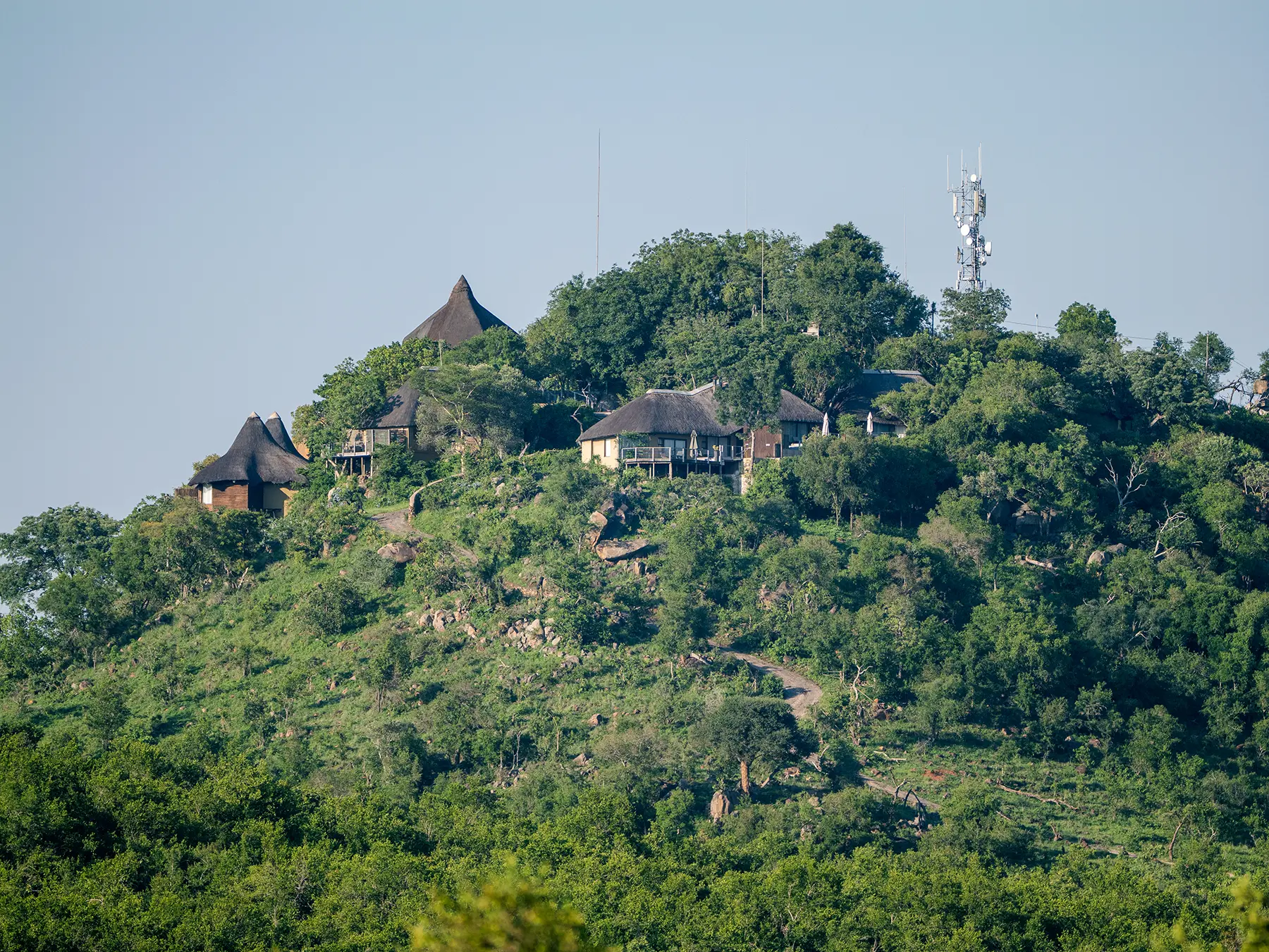 Thatched lodge buildings among green bush on a rocky hilltop with a communications tower at Ulusaba in Sabi Sand Game Reserve, South Africa