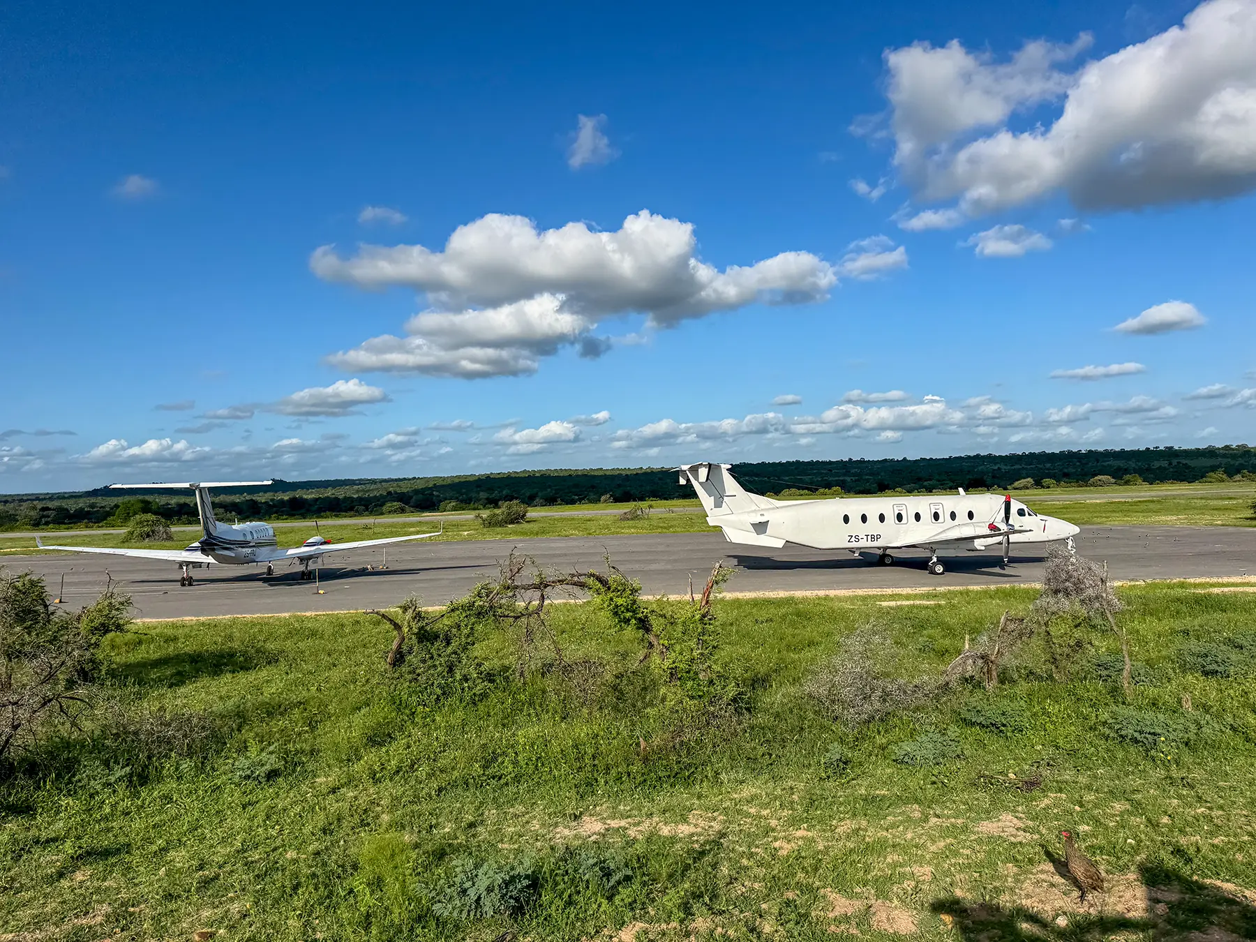 Two white propeller aircraft seen across green scrub at a bush airstrip in South Africa