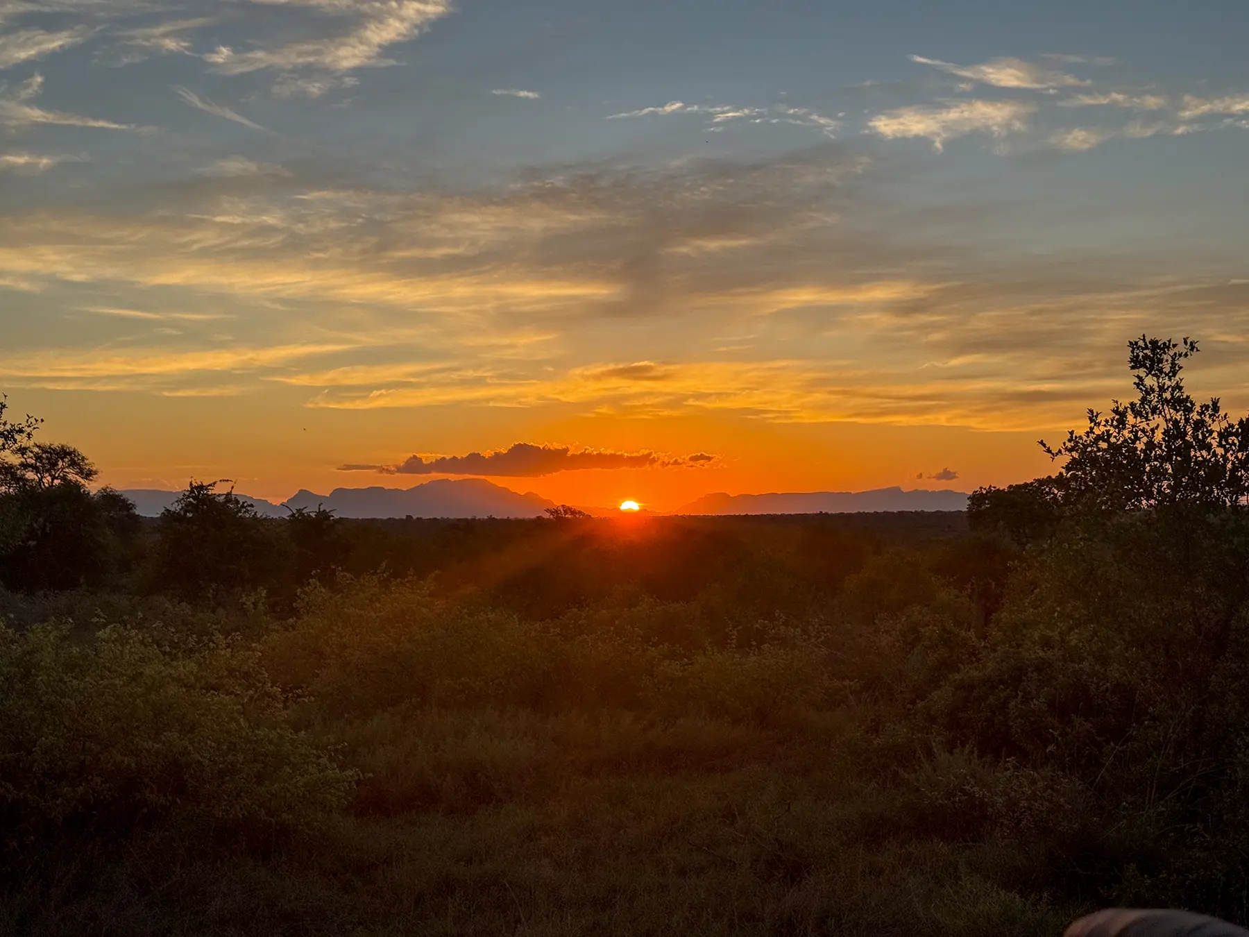 Sunset over bushveld with distant mountains on safari in Timbavati Private Nature Reserve, South Africa