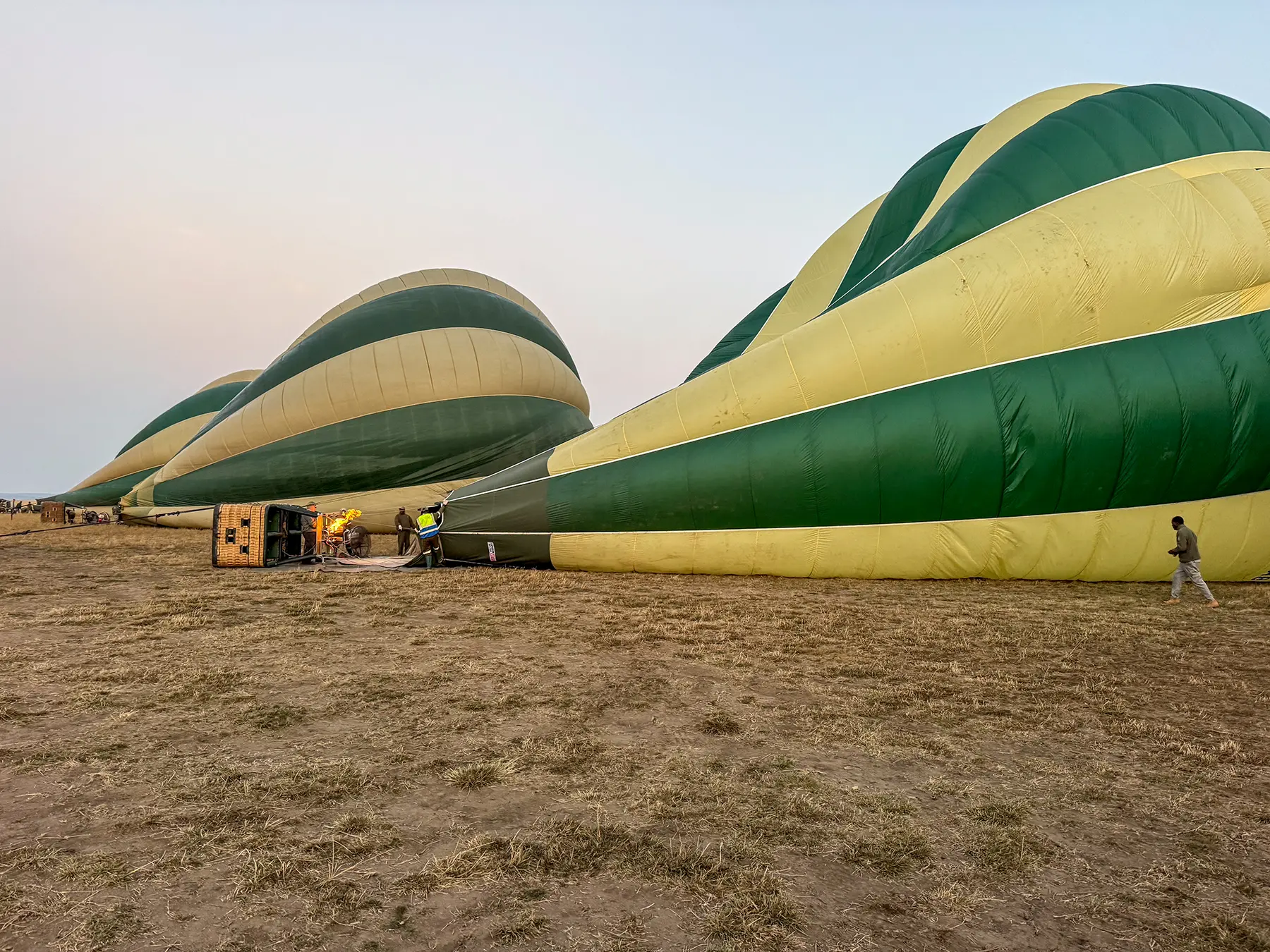 Hot air balloons being inflated on dry ground by crew as a burner fires at the launch site in Serengeti National Park, Tanzania
