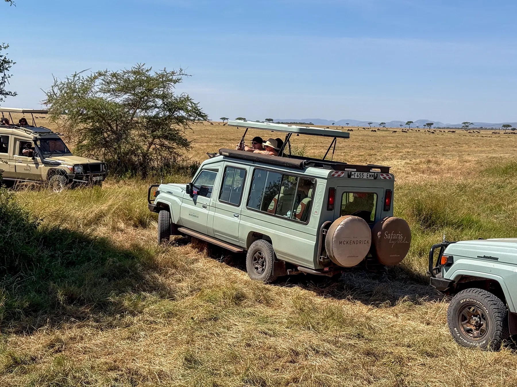 Three travellers standing in the raised roof hatch of a Land Cruiser on safari in Serengeti National Park, Tanzania