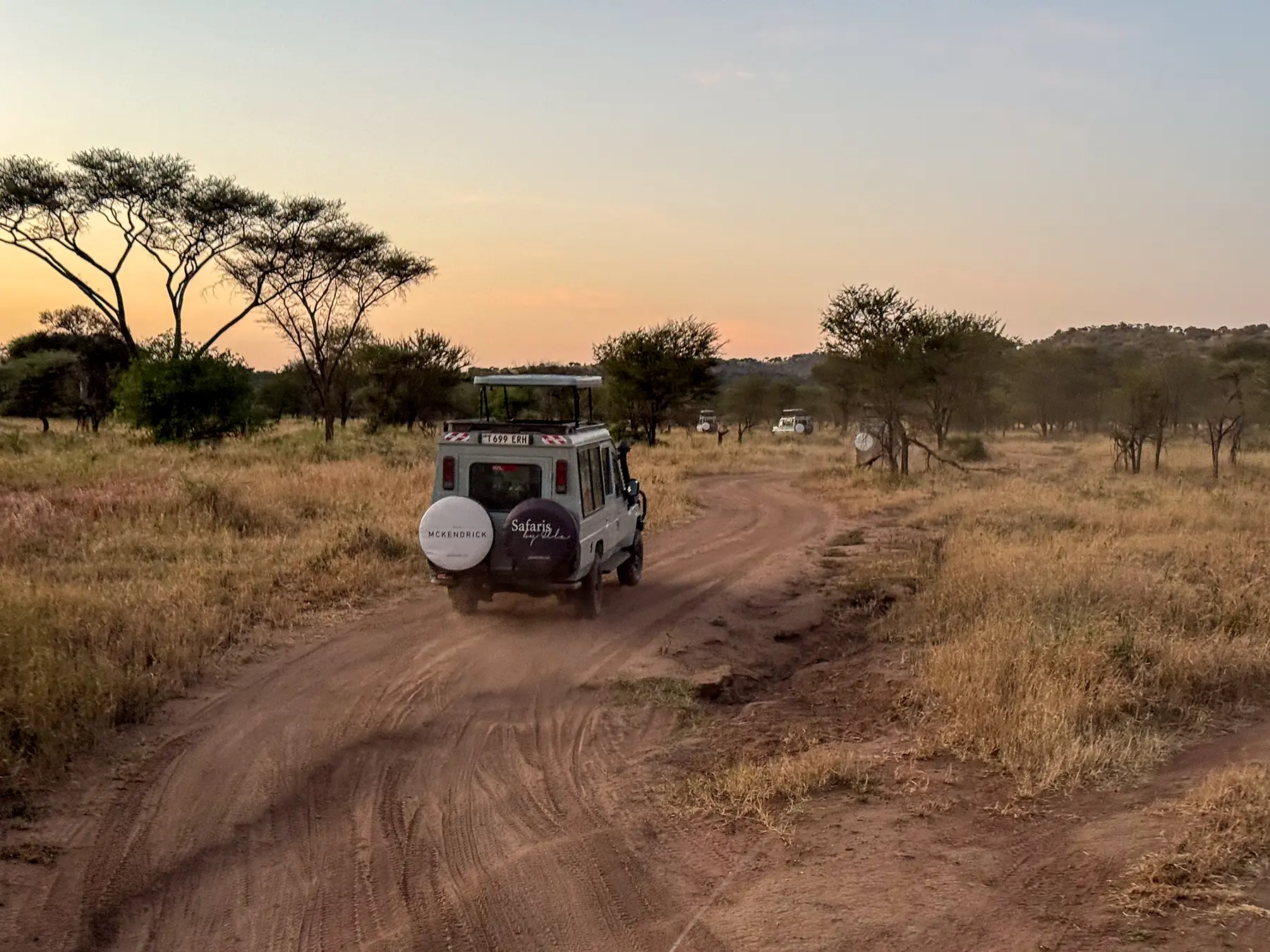 Safari Land Cruiser driving away down a dusty track past acacia trees at sunrise on safari in Serengeti National Park, Tanzania