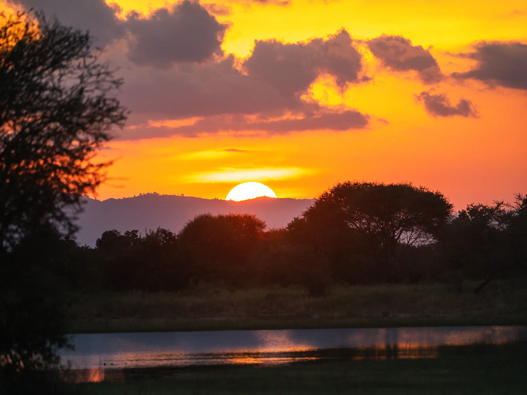 Sun dropping behind a ridge, silhouetted acacias above still water at a waterhole in Tarangire National Park, Tanzania